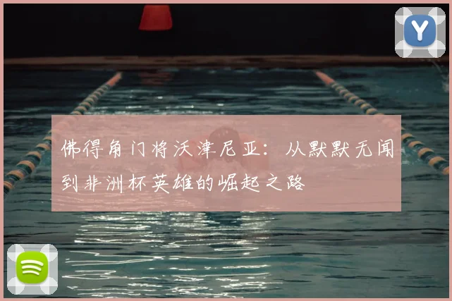 佛得角门将沃津尼亚：从默默无闻到非洲杯英雄的崛起之路
